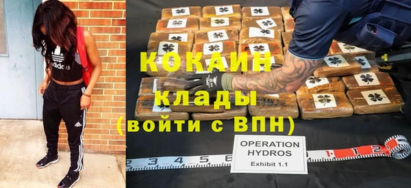 дживик Волоколамск