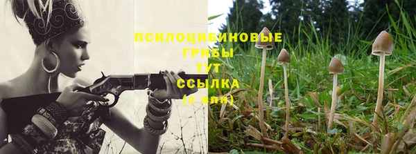 дживик Волоколамск