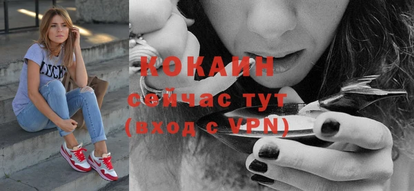 дживик Волоколамск