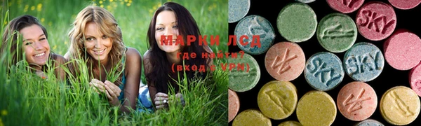 дживик Волоколамск